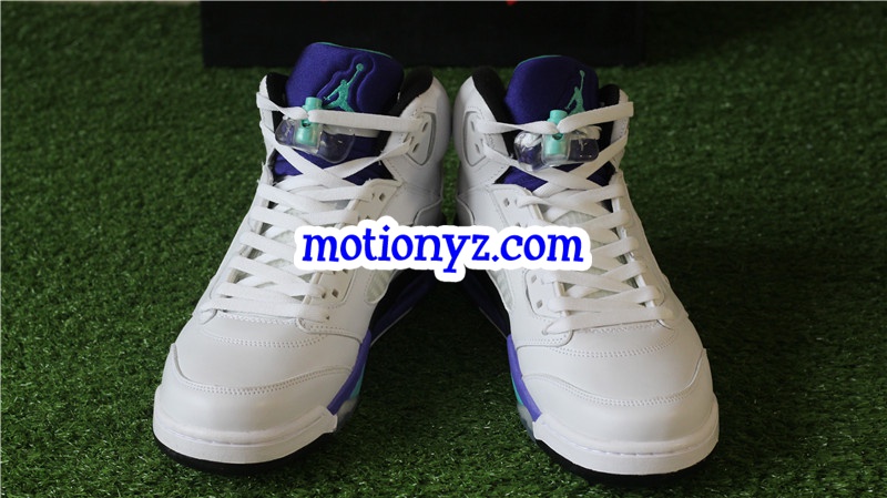 Authentic Air Jordan 5 Retro Grapes